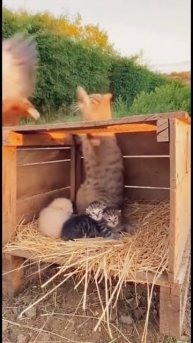 AQP894FQ4lgUjKVY8hvtbEk2OIRw2OFGaEvzZtWFO9oZobHN89NrbMxM9HS2Wx3bn8EGZG3kcSKAow