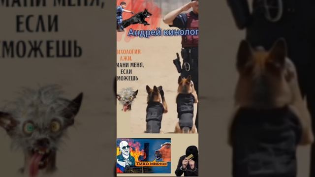 Скажите номер паспорта