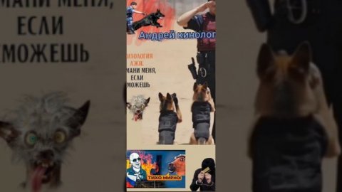 Скажите номер паспорта