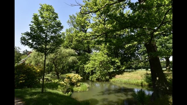 Schloss Oranienbaum 14 мая 2018