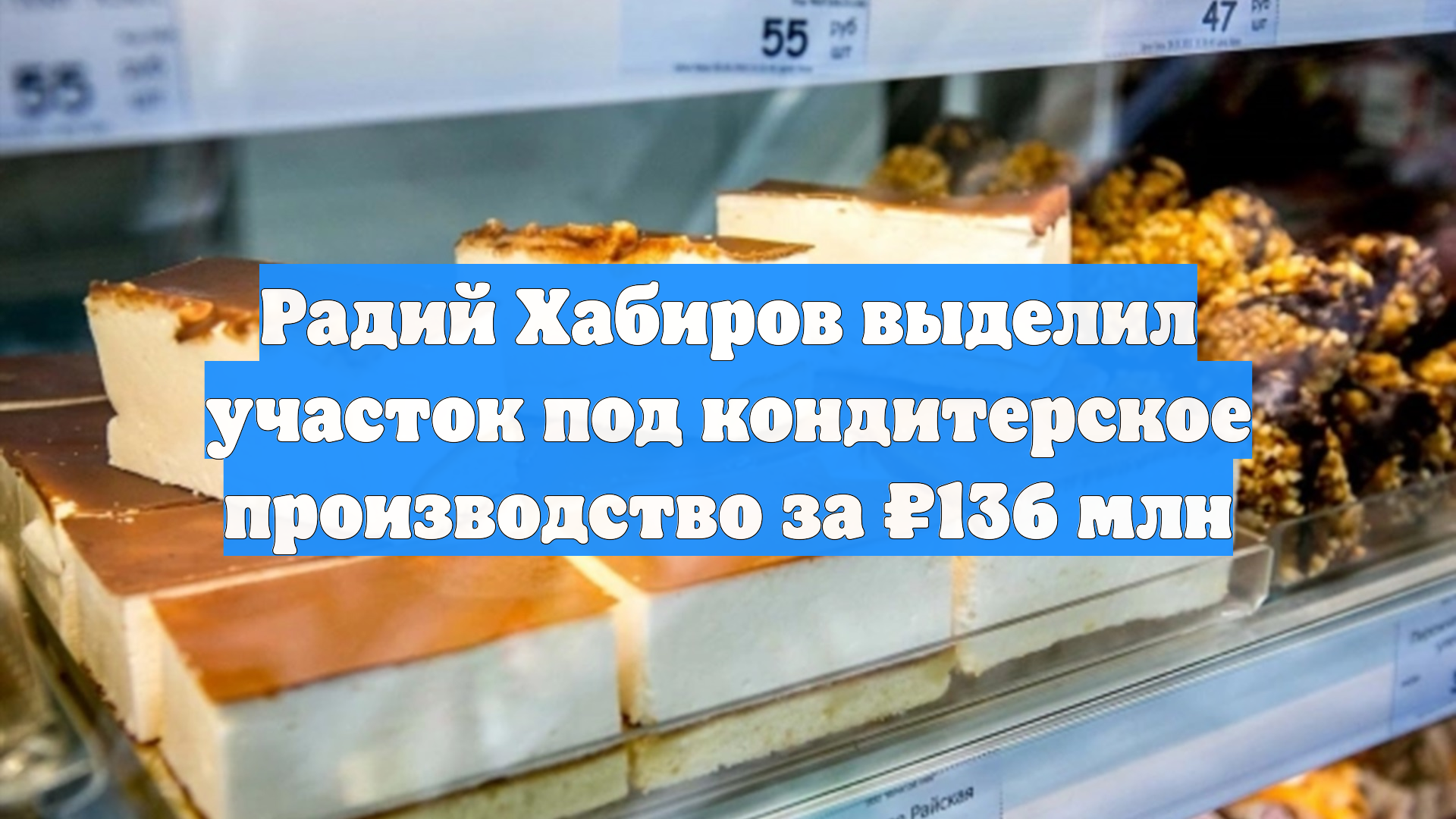 Радий Хабиров выделил участок под кондитерское производство за ₽136 млн