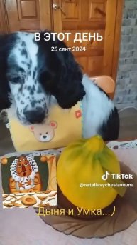 Дыня и Умка...)))