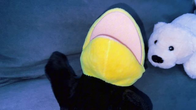 Пусть мама услышит с вороной Асей❤️