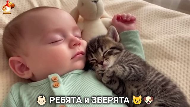 Ребята и зверята от ИИ милое видео для души и радости 👶🏻😺🐶 (3)