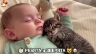 Ребята и зверята от ИИ милое видео для души и радости 👶🏻😺🐶 (3)