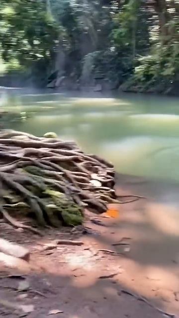 СМЕХ И ГРЕХ