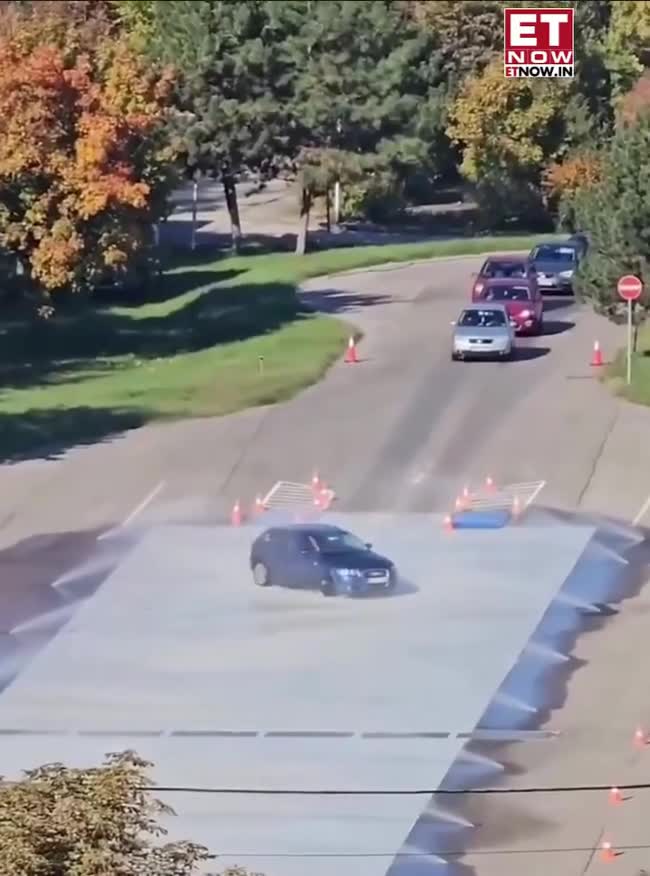 Подпишись 👉 https://kamennyi-zver.ru/