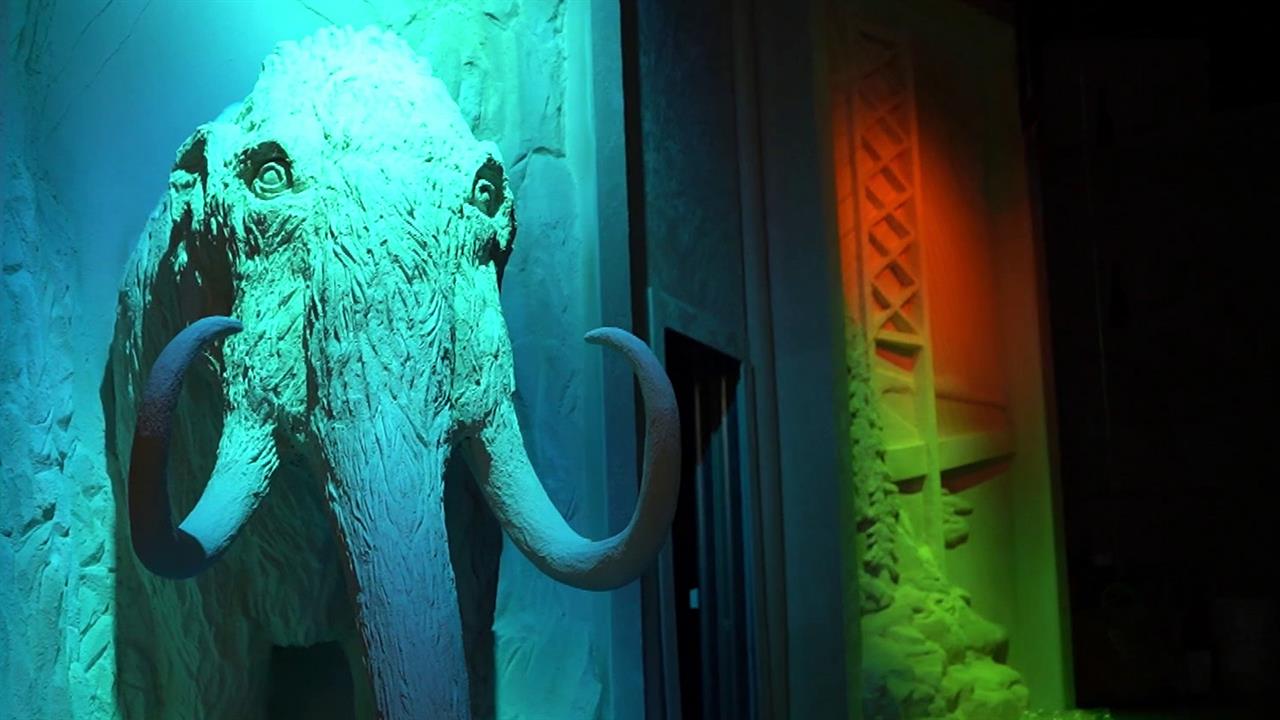 В Национальном центре "Россия" открылась выставка-приключение "Книга сказок".