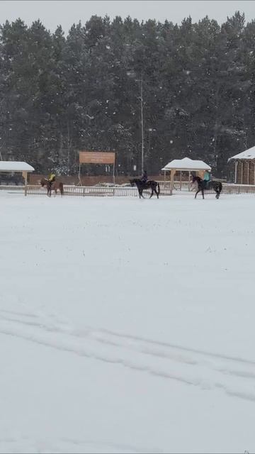 Белая лошадь