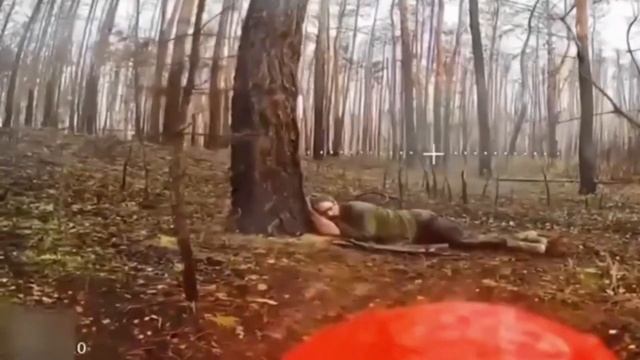 С добрым утром, бандеровский пес!