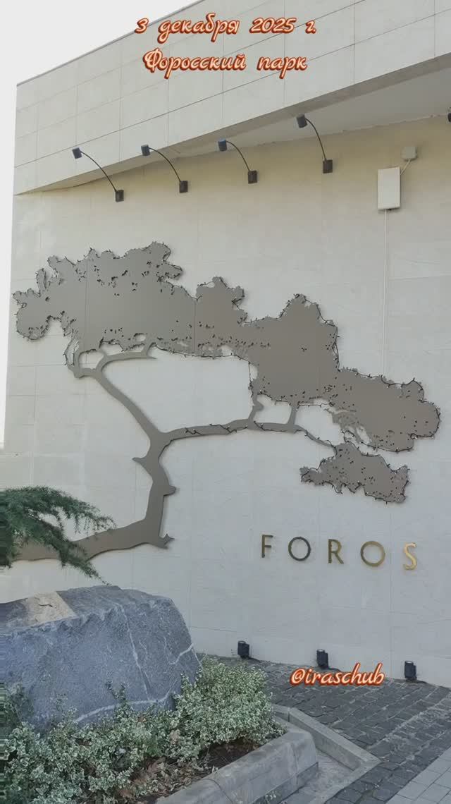 3 декабря 2025 г. Форосский парк #крым #ялта #ялта2025 #форос #форосскийпарк