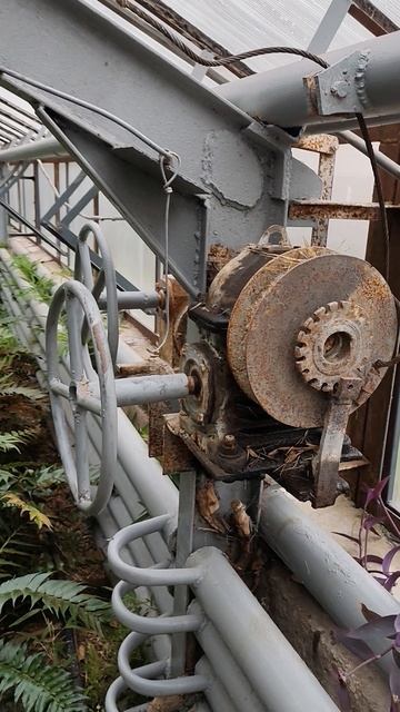 Механизм в оранжерее