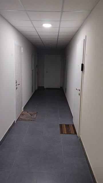 Ужасные соседи на Окраине Москвы