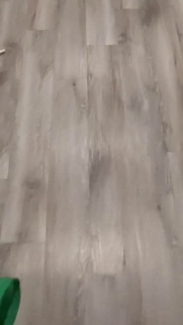 подборка с котиками, которые не мяукают