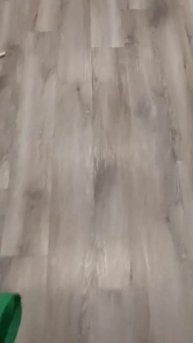 подборка с котиками, которые не мяукают