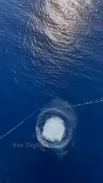 Морская вода ждет ныряльщицу