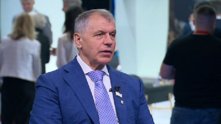 Константинов назвал решение ЕС по российским активам повадками вороватого кота