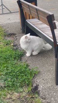 Декабрьский Сочи. День 3 в картинках 💫