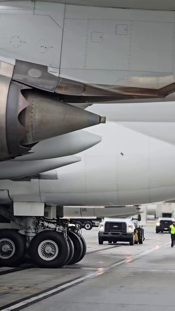 Большая птичка💙