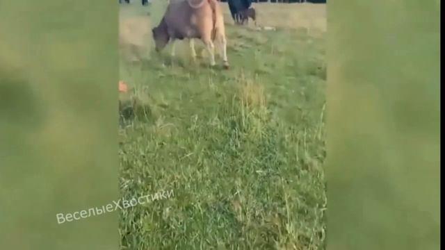 Наслаждайся