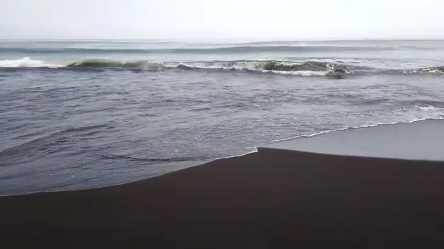 VID-20220710-WA0007.mp4