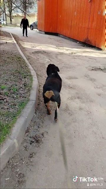 Моя Бусечка