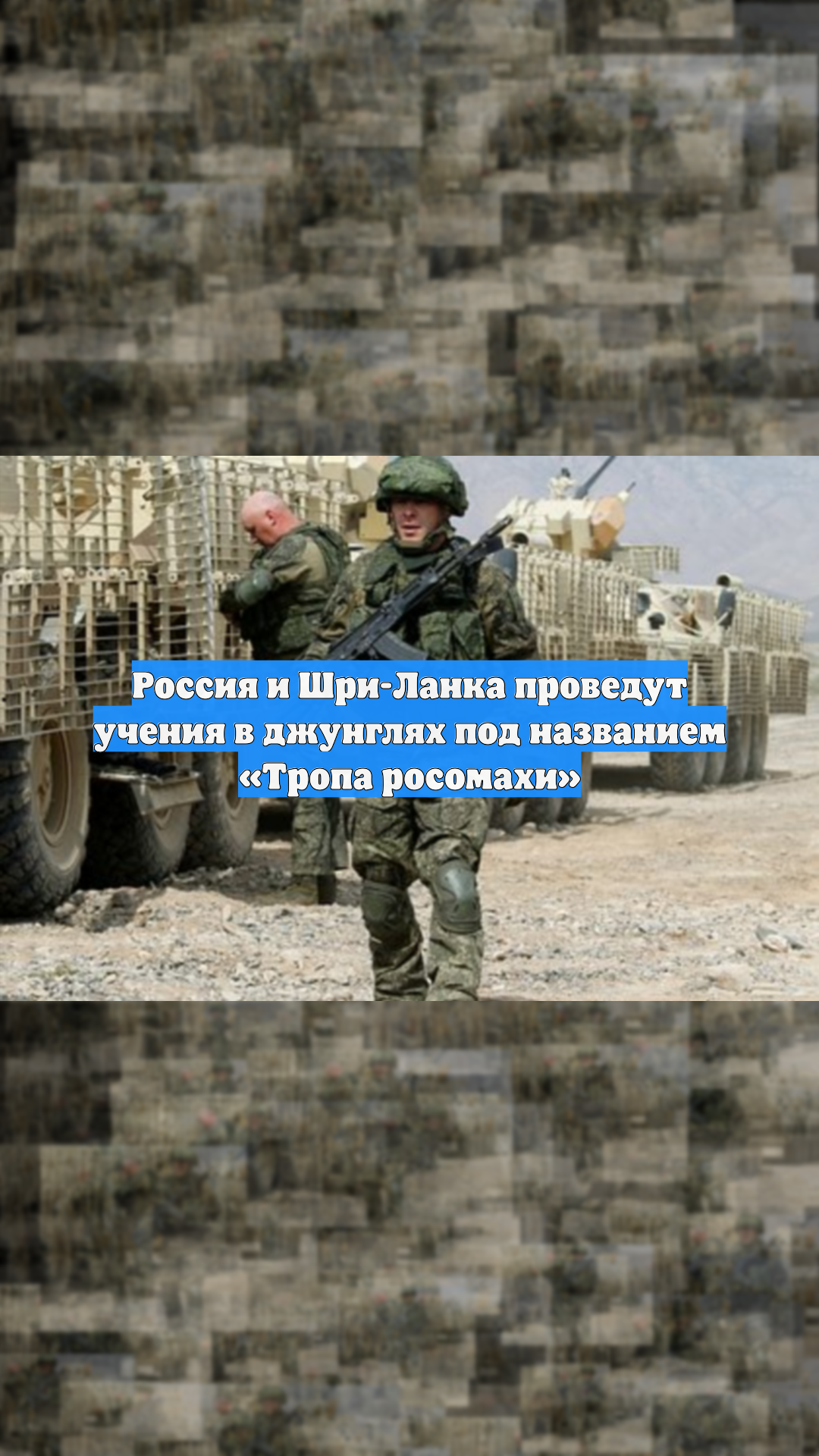 Россия и Шри-Ланка проведут учения в джунглях под названием «Тропа росомахи»
