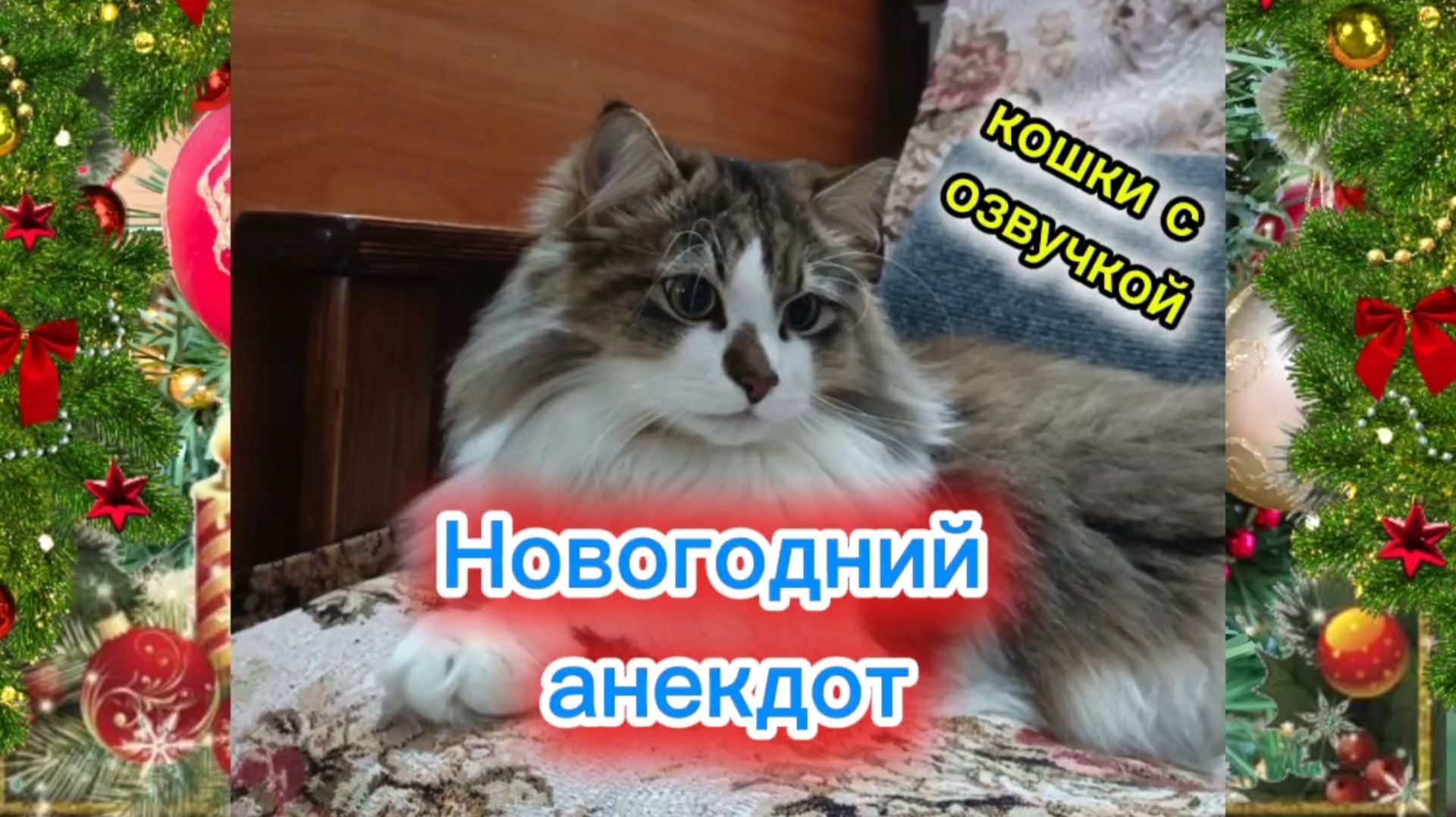 Новогодний анекдот. Кошки с озвучкой.