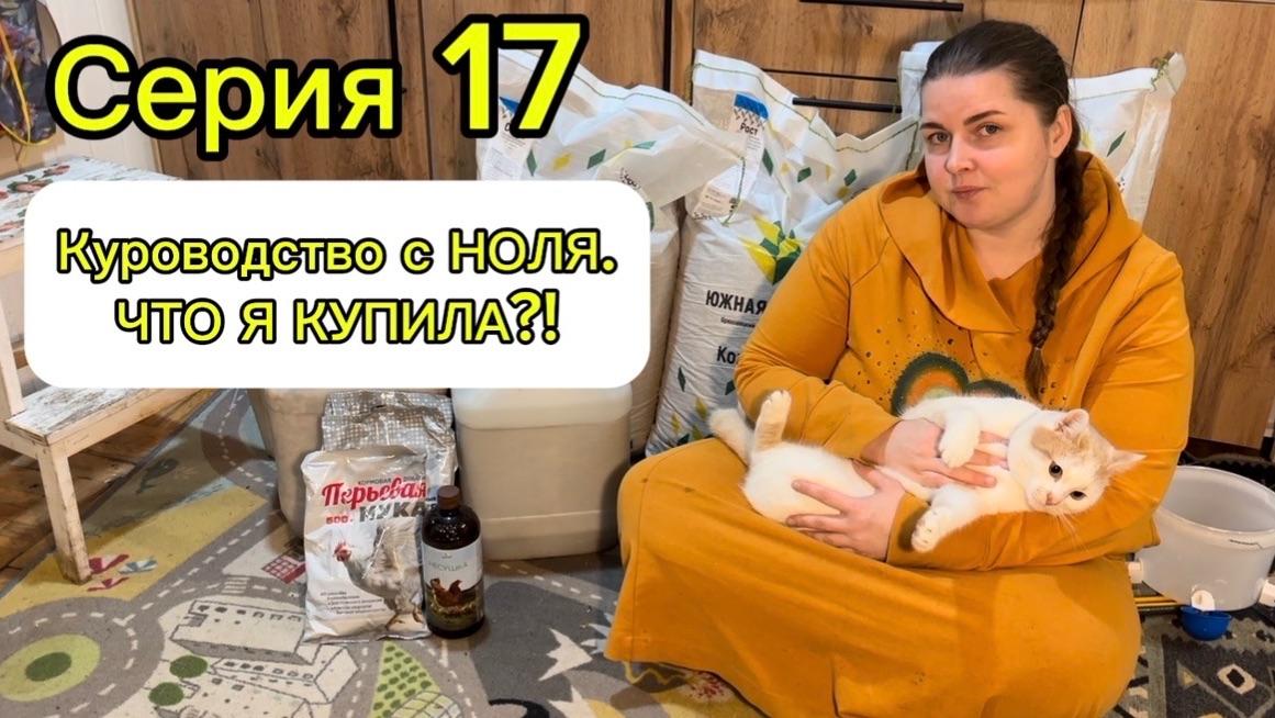 Серия 17. Покупки для кур и инкубации. Курятник с ноля.
