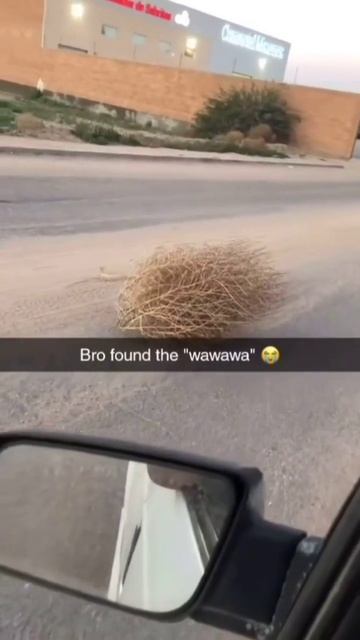 Ну как там его... "ва-ва-ва"