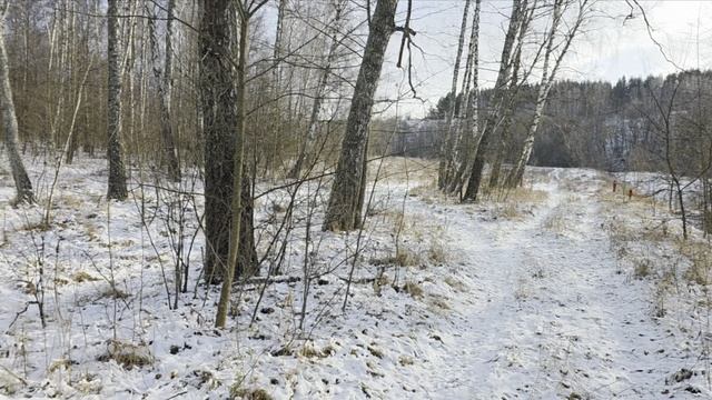 14 декабря 2025 года 🍂
Локация 🌳
Любимая Родина Данков🔥
