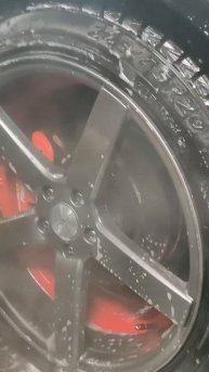 моем катки на mustanggt