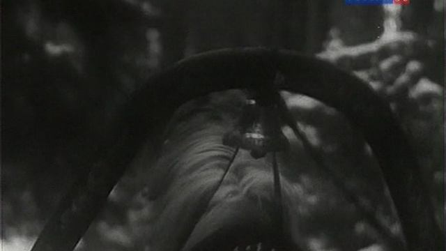 Эх, вы кони мои кони! Эх, ты зимушка-зима!