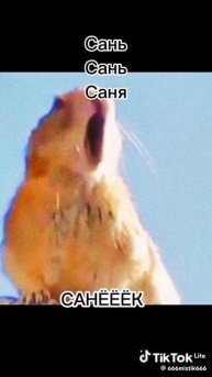 почему это так😂