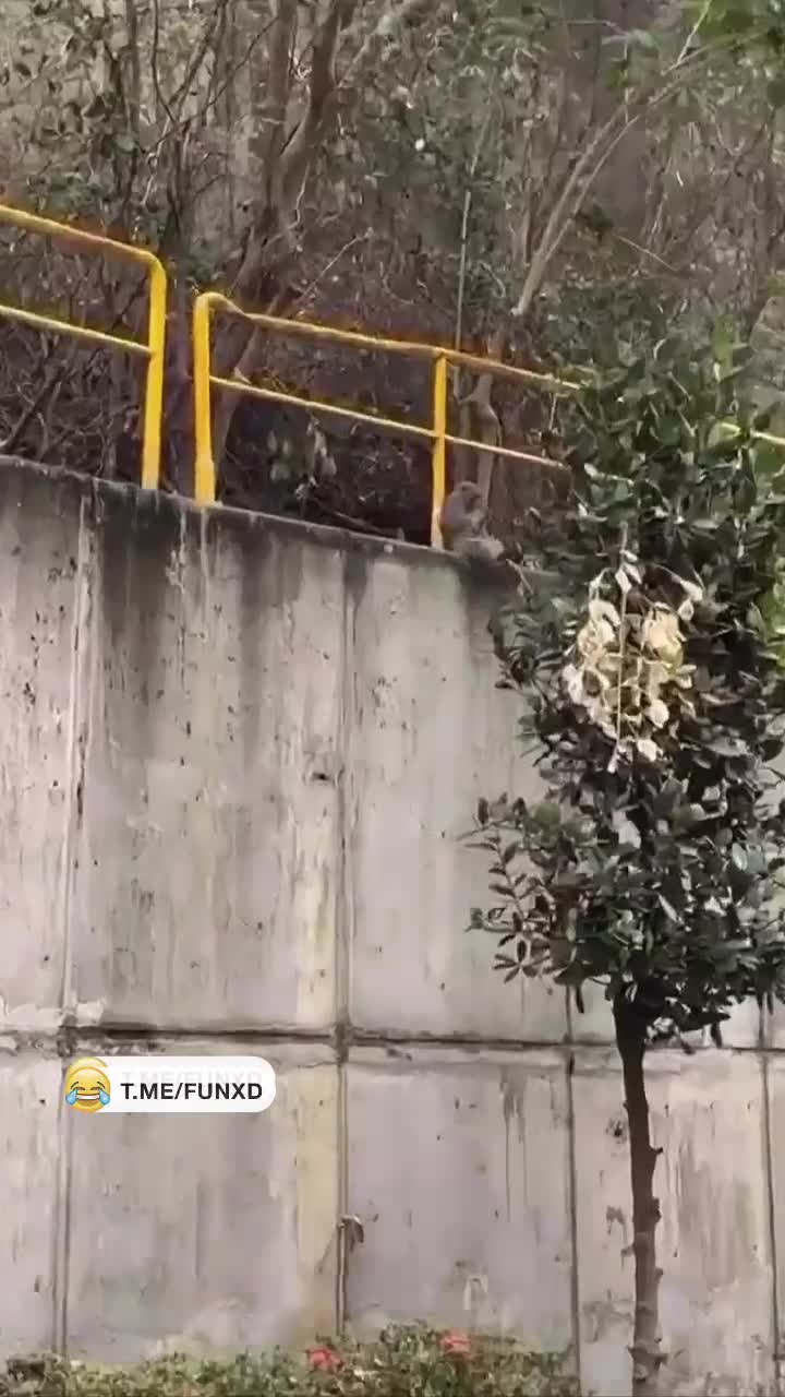 Радуется воскресенью😅