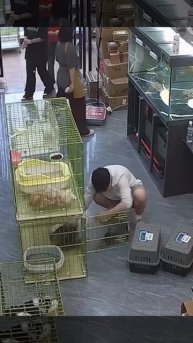 Тяжёлая работа 😂