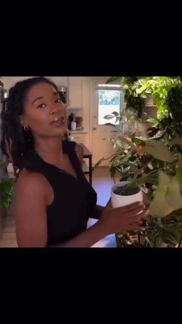 Страшно начать все с нуля?