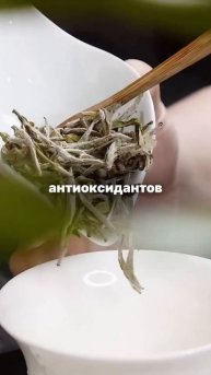 Почему белый чай