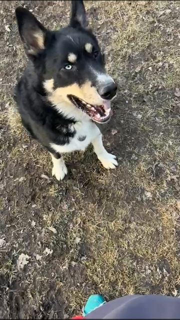 Леша ищет дом 3