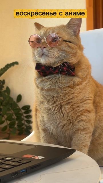 Расскажите, как проходят ваши выходные? ☺️