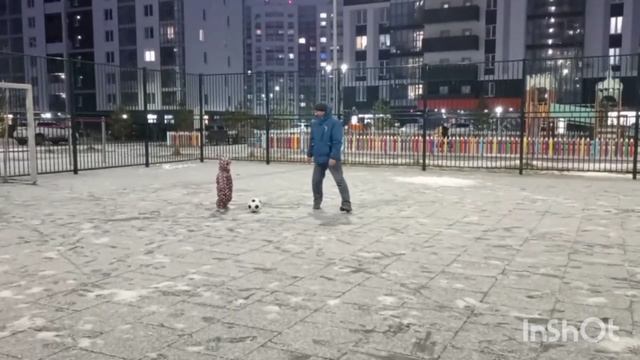 Двойняшки играют в футбол ⚽