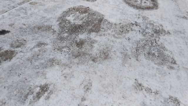 15.12.2025 ноги я лечу