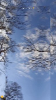 #красивыйдень #парк #заводскойрайон #саратов #небо #деревья #событиедня #13марта2024год