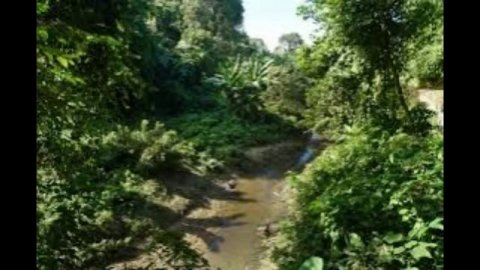 Россия и Шри-Ланка начали первые совместные учения «Тропа росомахи»