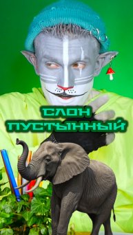 Кот Учёный и Пустынный Слон 🐘