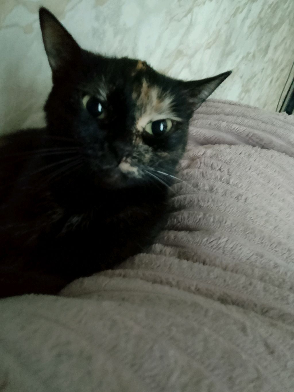 это был всего лишь сон?