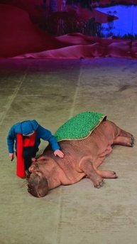 Эвелина Блёданс на премьере спектакля в Театре "Уголок дедушки Дурова"