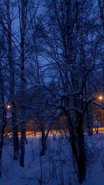 VID_20251214_075402.mp4