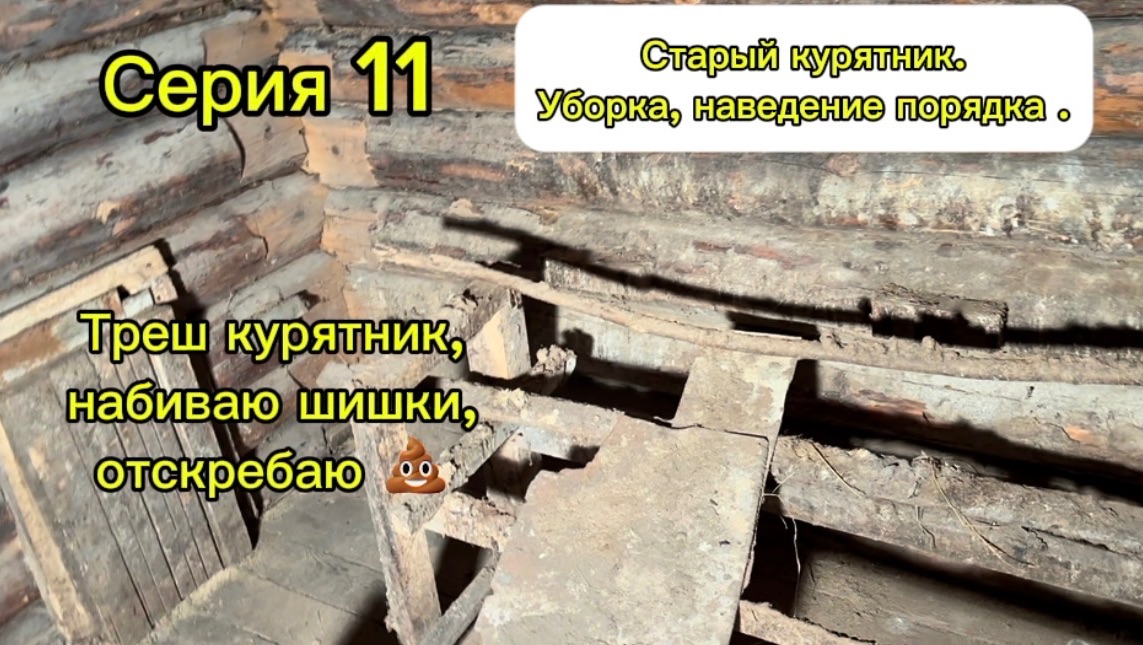 Серия 11. Курятни часть 1. Своими руками переделываю старый сарай.