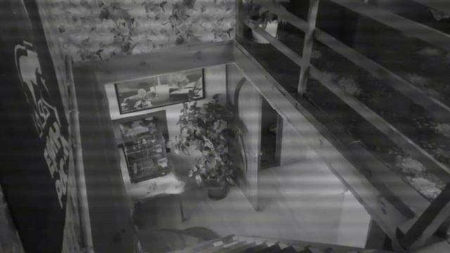 Приключение Лампчки и Кнайфа, 2 часть, слежка...(1 серии не будет, так как она была удалена..)